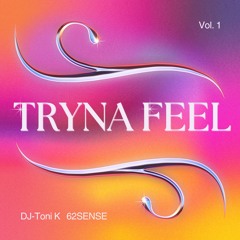 DJ-Toni K FT 62SENSE- TRYNA FEEL