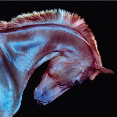 psalms meshed euphoric mix