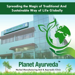 Planet Ayurveda Medical Camp In Surat, Gujarat - Viral Trending News  Zee Punjab, Haryana, Himachal