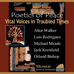 Read EBOOK 📪 Vital Voices in Troubled Times by  Alice Walker,Michael Meade,Luis Rodr