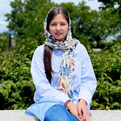 Leaving Kabul by Marzia Rezaee