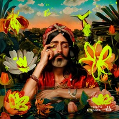 Waxwood, Begiroquai - Bitropical (Dr Parnassus Remix)