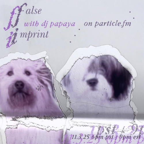 False Imprint w/ DJ Papaya - Nov 3rd 2025