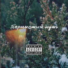 Тернистый путь