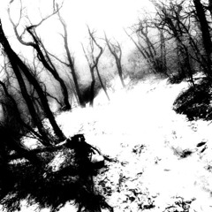 I’m so sick #shoegaze