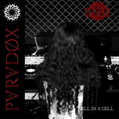 APICEM - LIVE AT HELL IN A CELL by PARADØX Collective