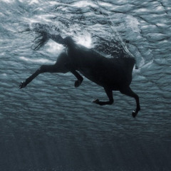 𓇼 ⋆.˚ 𓆉 deep sea ambient mix 𓆡⋆.˚ 𓇼