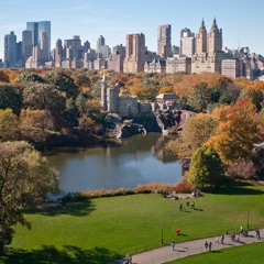 central park.