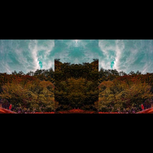 Noctvember - PSYBIENT PSYDUB PSYCHEDELIC AMBIENT DUB TECHNO MINIMAL
