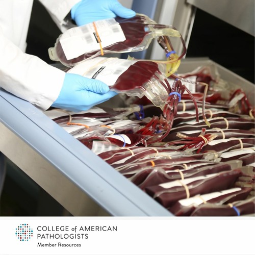 Transfusion Medicine: What Pathologists Need to Know about Platelets and Plasma