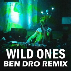 Flo Rida - Wild Ones ft. Sia (Ben Dro Remix)(filtered due to copyright)