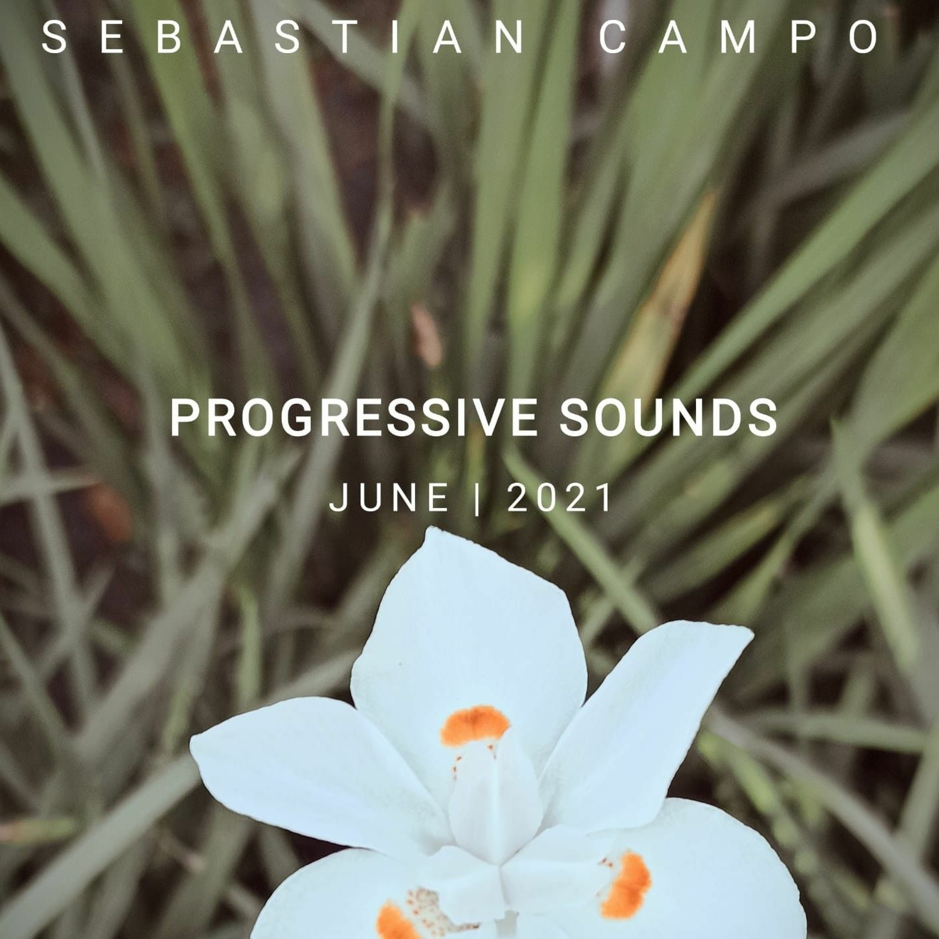 Progressive Sounds