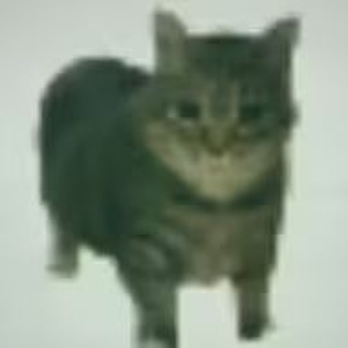 Stream 6 hours sample challenge rd.2 (Oiiaioooooiai cat meme) by Salty