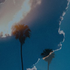 Lost Palms - Keep Me Wild