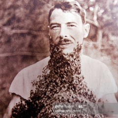 Beard Of Bees Chapter IV