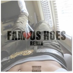 Famous Hoes (NLE choppa REMIX)