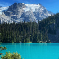 O c e a n / Avondale Ave9/05/22/2025