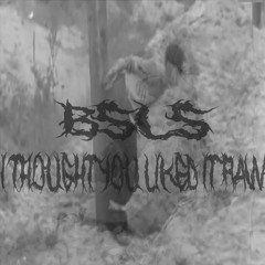 BSLS - I Thought You Liked It RAW (Original Mix)
