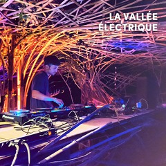 La Vallée Électrique 2022 • Gëinst
