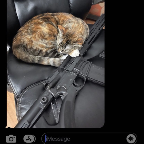 trelly connor & detains - window down