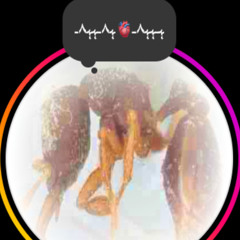 I love dis meal!  #prodrunnaz'