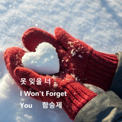 못 잊을 너(I Won't Forget You)