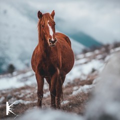 KLUSTERKAST_16 | Louleh