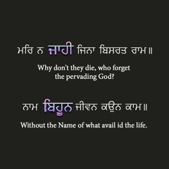 ਮਰਿ ਨ ਜਾਹੀ ਜਿਨਾ ਬਿਸਰਤ ਰਾਮ ॥  ਨਾਮ ਬਿਹੂਨ ਜੀਵਨ ਕਉਨ ਕਾਮ ॥੧॥ ਰਹਾਉ ॥