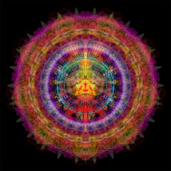 Somamusico Schizoma PsySet 2