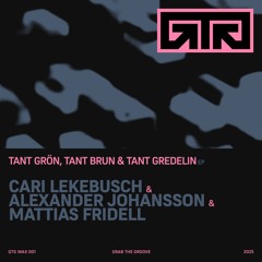 BCCO Premiere: Cari Lekebusch, Alexander Johansson & Mattias Fridell - Hojtarolja [GTGWAX001]