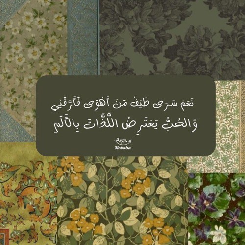 البردة- الفصل الأول- مصطفى أبوستيت.