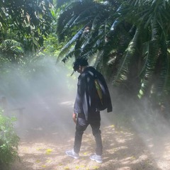 live in living color