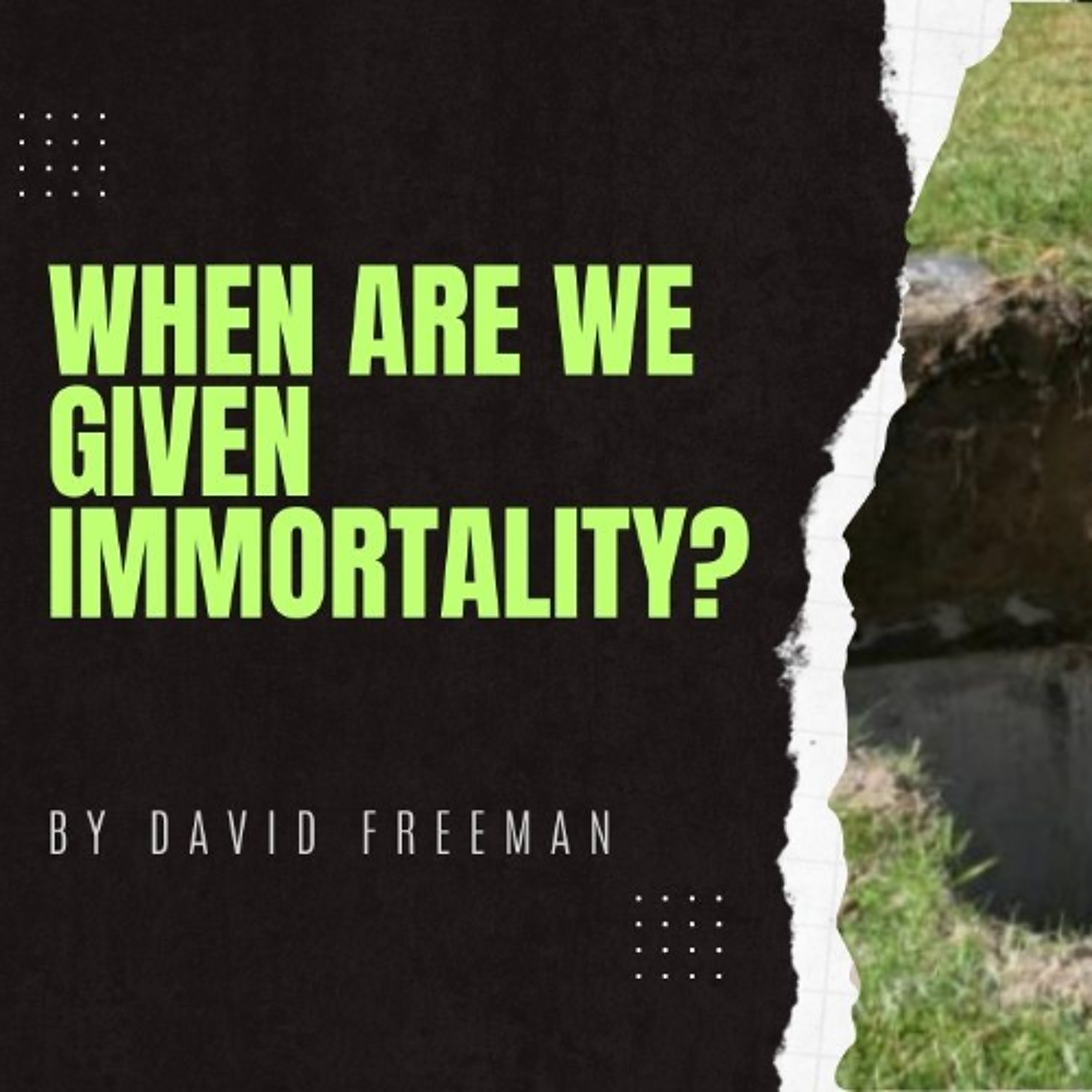 Is That Really In The Bible? 4-When are we Given Immortality? By David Freeman episode artwork