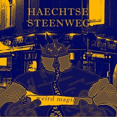 Haechtse Steenweg