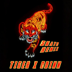 ODINN - Shayo (Tiger Remix)