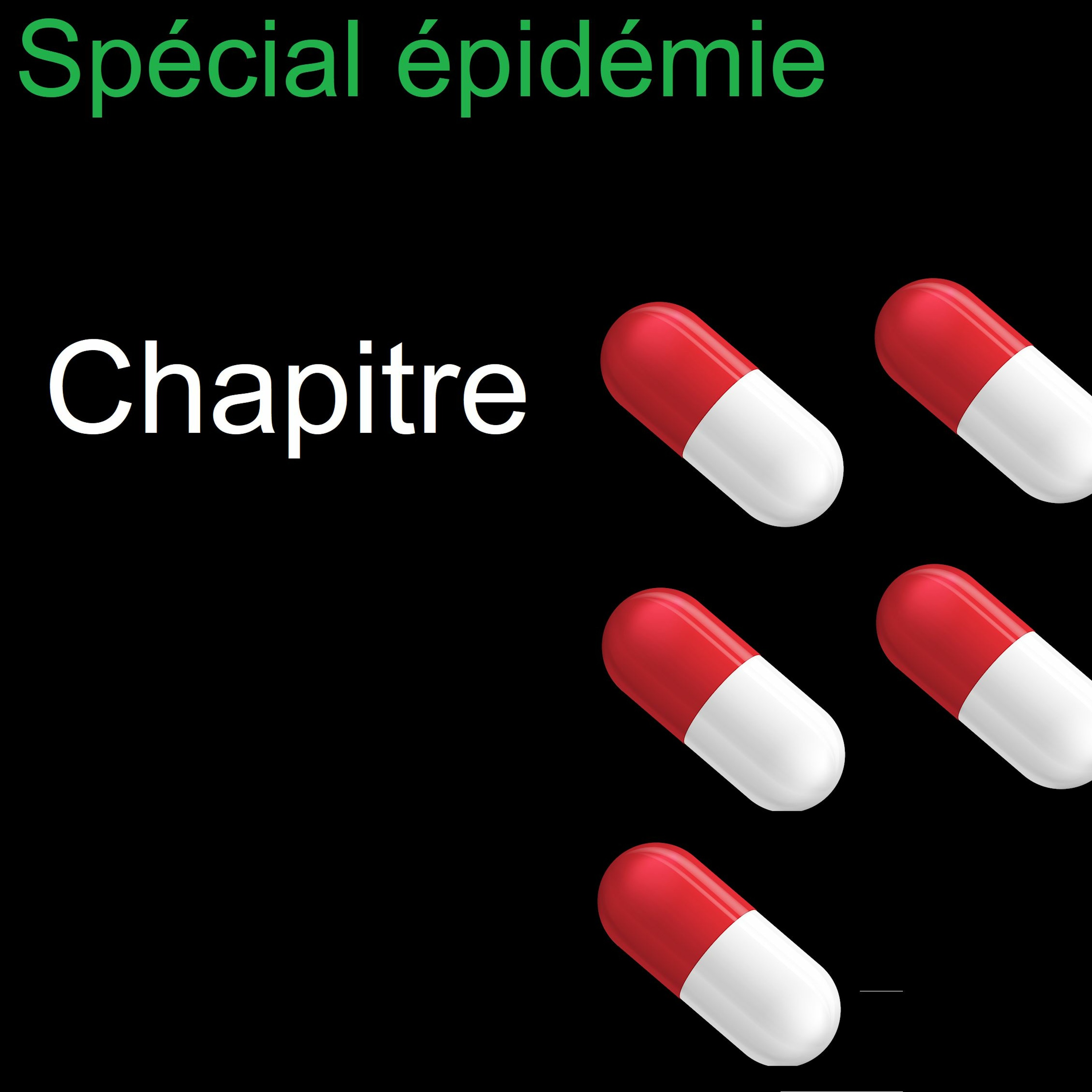 L’émission spéciale épidémie Chapitre 5 : La grippe espagnole
