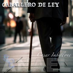 CABALLERO DE LEY