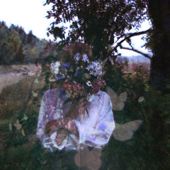 Chasing Comatose