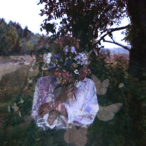 Chasing Comatose