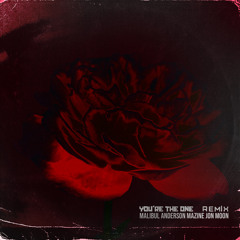 J o n  M o o n , Malibul, Anderson Mazine  - You're the one (Remix)