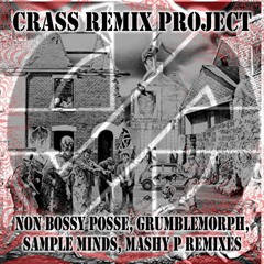 Crass Remix Project