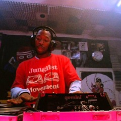 jungle minimix vol.1