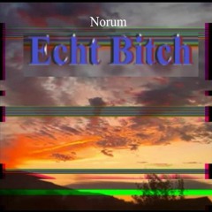Echt Bitch (prod. Sureel)