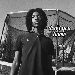 Dont You Know (prod. roychase)