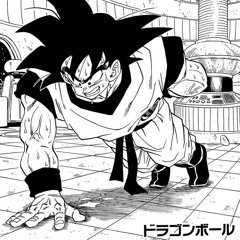Hip Hop (Training)