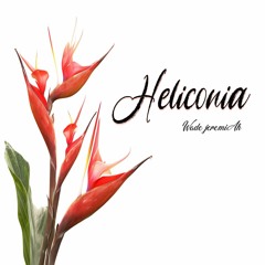 HELICONIA Wade JeremiAh Podcast
