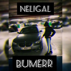 NELIGAL-BUMERR