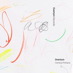 Indefinite Pitch PREMIERES. Overturn - Sustancia Gris [Overturn]