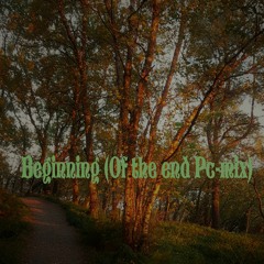 The Beginning ( Of The End Pc Mix)