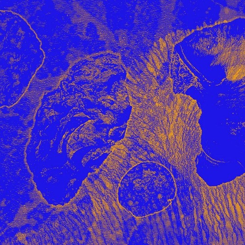 Field Work 190823